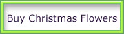 0-buy-christmas-flowers.jpg