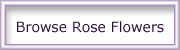 00-browse-rose-flowers.jpg