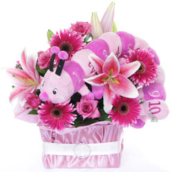 baby-flowers-gold-coast-stuffed-toys-lou-lou.jpg baby-flowers-gold-coast-stuffed-toys-lou-lou.jpg