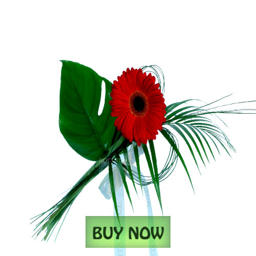 Flowers Online Cheap