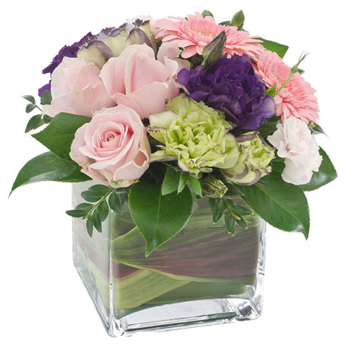 flowers-florists-gold-coast-cleo-sa91.jpg