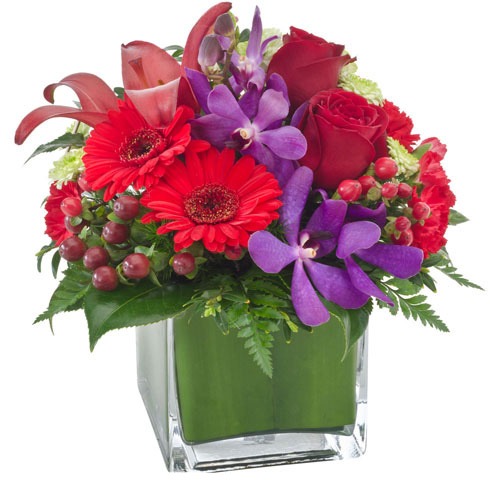 flowers-florists-gold-coast-delivery-india-sa100.jpg