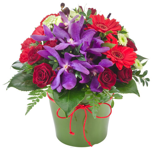 flowers-florists-gold-coast-rhiannon-sa104.jpg