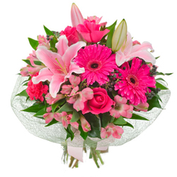 flowers-gold-coast-chantilly-250x250.jpg flowers-gold-coast-chantilly-250x250.jpg