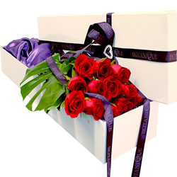 roses-flowers-gold-coast-hollywood-dozen.jpg roses-flowers-gold-coast-hollywood-dozen.jpg