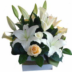 sympathy-flowers-gold-coast-valerie-250x250.jpg sympathy-flowers-gold-coast-valerie-250x250.jpg