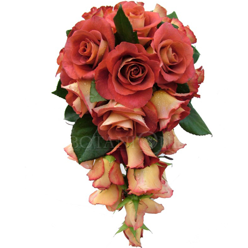 orange-rose-teardrop-wedding-bouquet-botanique-flowers-gold-coast-australia-web.jpg